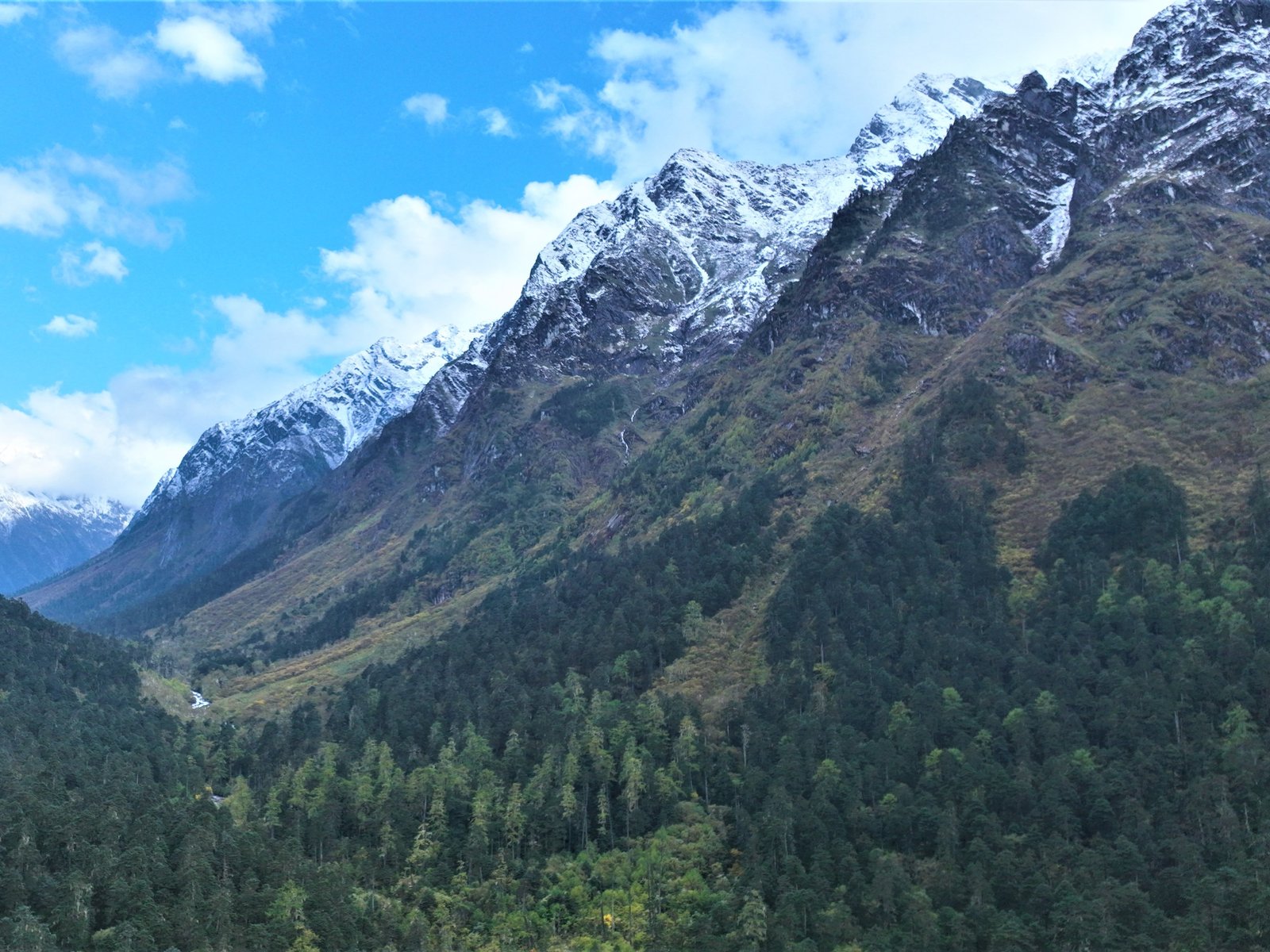 Lush grassland in Dibang Valley